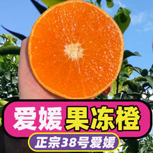 百亿补贴：妮萨 四川爱媛38号果冻橙新鲜水果4.5斤/70-75mm