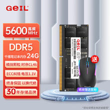 金邦 GeIL 24G DDR5-5600 笔记本内存条 千禧系列