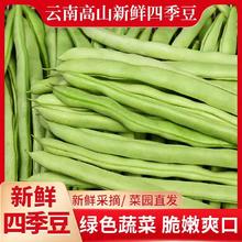 新鲜现摘四季豆云南豆角农家自种应季蔬菜长扁芸豆子整箱包邮炒菜