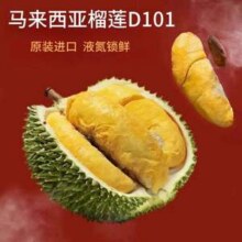 猫超直送 罗太号 马来西亚D101榴莲 液氮带壳 2.5-3斤 保4房