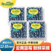 怡颗莓 Driscoll's 当季云南蓝莓 中果125g*6盒