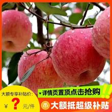 【爆品】陕西富士苹果当季丑苹果整箱8-9斤装单果80mm+应季包邮