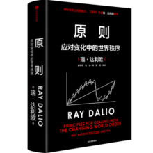 原则2 应对变化中的世界秩序 百万级畅销书 桥水创始人 瑞 达利欧作品 原则 解读世界变动 财富涨跌 权力换手 中信出版社