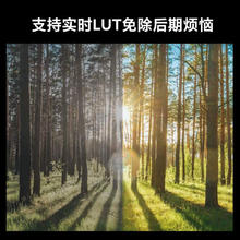 松下 Panasonic M43画幅数码无反混合对焦防抖相机二代DC-G9M2