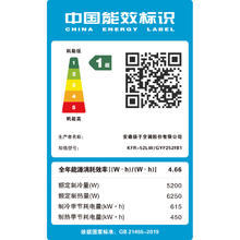 扬子空调 2匹3P变频新一级能效大风量广域风智能立柜式艺术空调