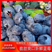 百亿补贴：玖玖农场 正宗丹东蓝莓现摘新鲜宝宝蓝莓当季酸甜一整箱4/6/8单果15mm