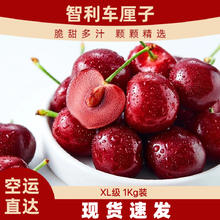 京鲜生 Mr.Seafood 智利进口车厘子4J级2斤装 当季新鲜 源头直发 一件包邮