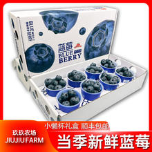 百亿补贴：玖玖农场 云南蓝莓8杯当季新鲜国产蓝莓水果