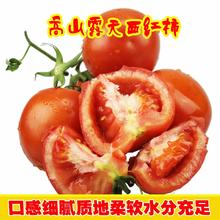 滇老头 普罗旺斯西红柿 净重3斤装 单果130g