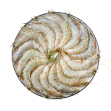 国联 白虾特大号 1.5kg