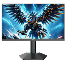 HKC 猎鹰二代 G25H4 24.5英寸FastIPS显示器（2K、240Hz、128%sRGB、HDR400）