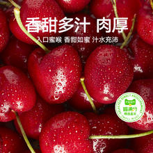 喵满分 智利车厘子樱桃J/JJ/JJJ级车厘子樱桃
