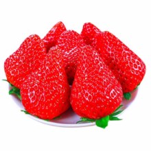 plus会员：京觅 丹东99红颜奶油草莓 3斤装 单果15-20g