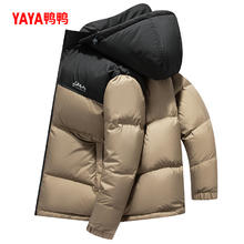 YAYA 鸭鸭短羽绒服男士2024冬季新品拼色短款连帽可拆帽休闲保暖外套J