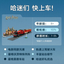乐高（LEGO）哈利波特 电影周边拼装积木玩具儿童新年礼物 76423 霍格沃茨特快与霍格莫车站