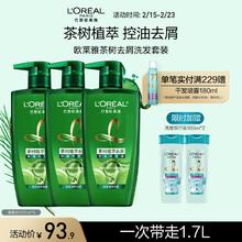 L'OREAL PARIS 茶树植萃洗发水 500ml*3（赠透明质酸洗发露200ml）