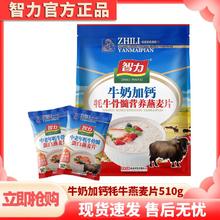 智力 牛奶加钙牦牛骨髓营养燕麦片566g小袋包装即食速溶冲饮营养