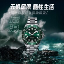 海鸥手表男士机械表海洋之星系列单向计时经典国表情人节礼物 波涛绿浪815.97.6105
