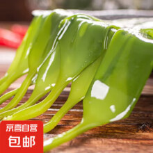 海带嫩苗 200g*1袋