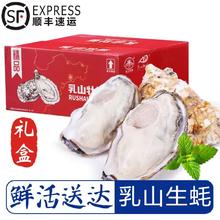 新鲜 乳山生蚝 大号 4XL 2.5斤 （带官方溯源防伪标识）