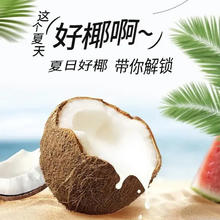 今贝 零糖生椰0香精0色素 零糖椰汁饮料生椰拿铁搭配