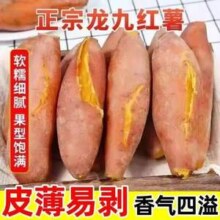 淘宝买菜农场直发 正宗沙地龙九红薯9斤 大果