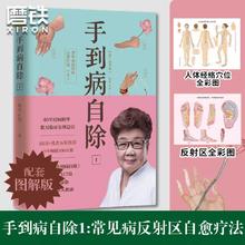 赠挂图手到病自除4册 杨奕手到病自除全四册1234全套图解按摩教程书籍养生全集中医养生按摩推拿足底按摩健康书