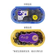 SIERRA BLUE 迷迭蓝 云南蓝莓 巨无霸 24mm及以上 2盒