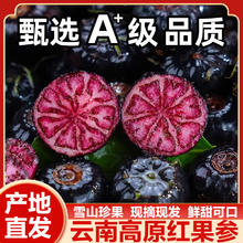 品质果 云南高原红果参 黑莓 125g/盒 4盒
