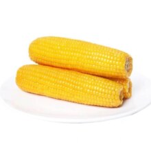 新鲜黄糯玉米真空包装速食2棒装（150g-200g/棒）