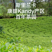 探鲜喵 某电商斯里兰卡红茶茶叶100g原装进口围炉煮茶锡兰陶瓷早茶