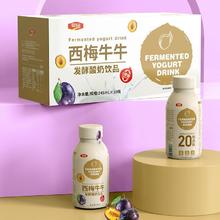 豪园 西梅0添加蔗糖酸奶 245ml*10瓶