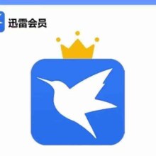 迅雷白金会员12个月 迅雷 迅雷白金年卡
