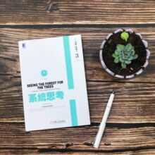 系统思考（白金版）