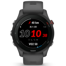 佳明（GARMIN）Forerunner255神秘灰心率血氧跑步铁三户外运动智能手表跑马表