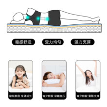 强力家具棕垫弹簧3cm椰棕垫 软硬两面弹簧舒适垫床垫进口面料静语经典 150*190*22cm