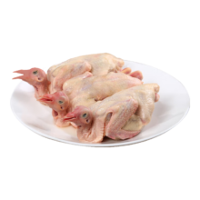 京东百亿补贴:硒全食美富硒乳鸽 净重900g(300g*3只) 冷冻 烧烤食材生鲜鸽子肉