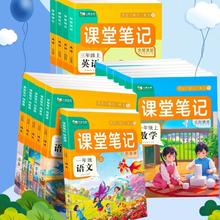 25春新版 同步课堂笔记1-6年级/多版本
