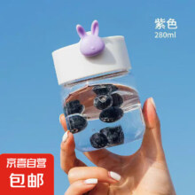 迷你便携小巧玻璃杯 280ml 1只