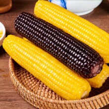 百亿补贴：守望乡村 东北玉米 180g*10支