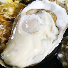 牧海翁乳山生蚝鲜活生蚝王特大牡蛎生鲜贝类新鲜海蛎子带壳生蚝肉 XXXXL号约4.5斤