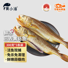 黄小渔 宁德三去大黄鱼 300g*3条 黄花鱼 海鲜鱼类 源头直发
