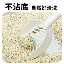 盼四季 CATSKY 白茶猫砂混合豆腐猫砂 2.4KG