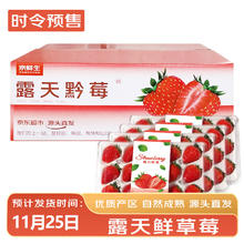 京鲜生 大凉山露天黔莓 300g*4盒