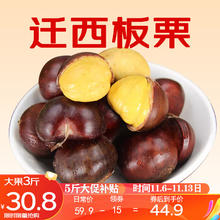 迁西 鲜板栗 23年新生板栗大颗粒 3斤大果（1元硬币大小）