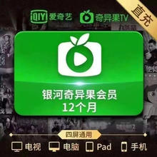 爱奇艺 白金VIP会员年卡 12个月