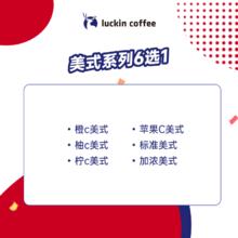 瑞幸咖啡 美式系列6选1 大杯 14天有效 限自提