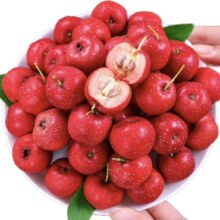新鲜山里红 山楂精品中大果 500g（纸箱）