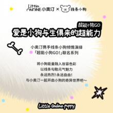 【情人节礼物】小奥汀X线条小狗联名礼盒眼线卧蚕腮红修容睫毛