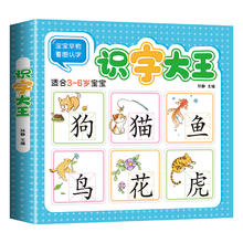 超厚一本 《识字大王》儿童学前识字教材